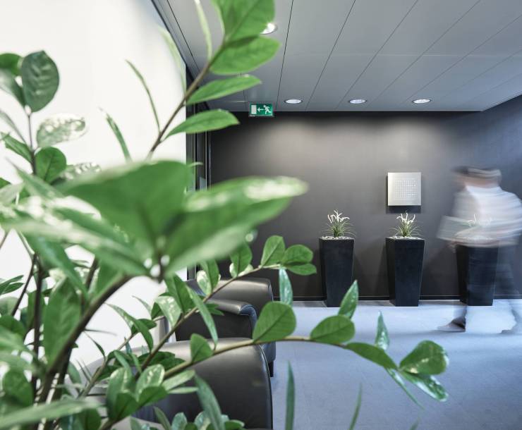 HIS_Bildwelt_02_264_rgb